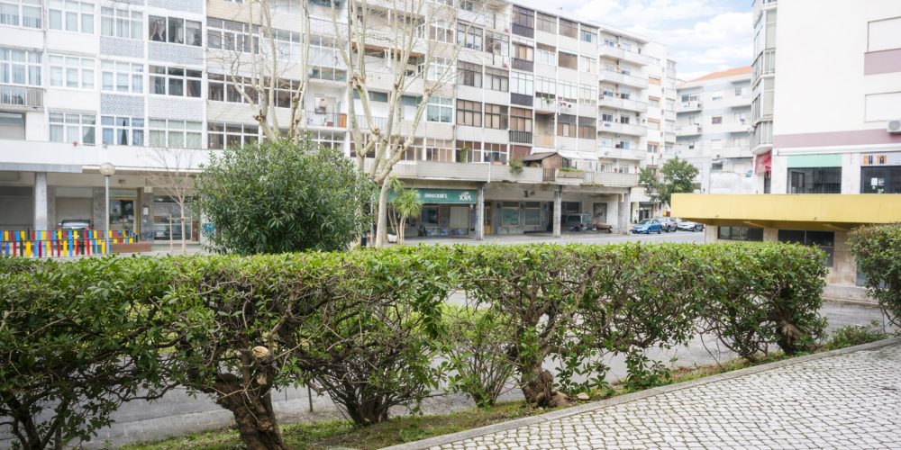 B63D032F-F06A-4F36-B368-A71AE7291565 2